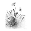 Apples and Daisies by Naomi Jennnings