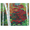 Birch Trees in Red by Frankie Picasso