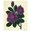 Flowers by Megan Paquette