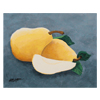 Pears by Aaron Cooper