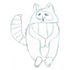 Racoon by Megan McArthur