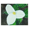 Trillium by Nadya Closa