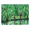 Weeping Willow by Bev Heide
